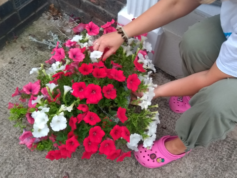 Pink and pink